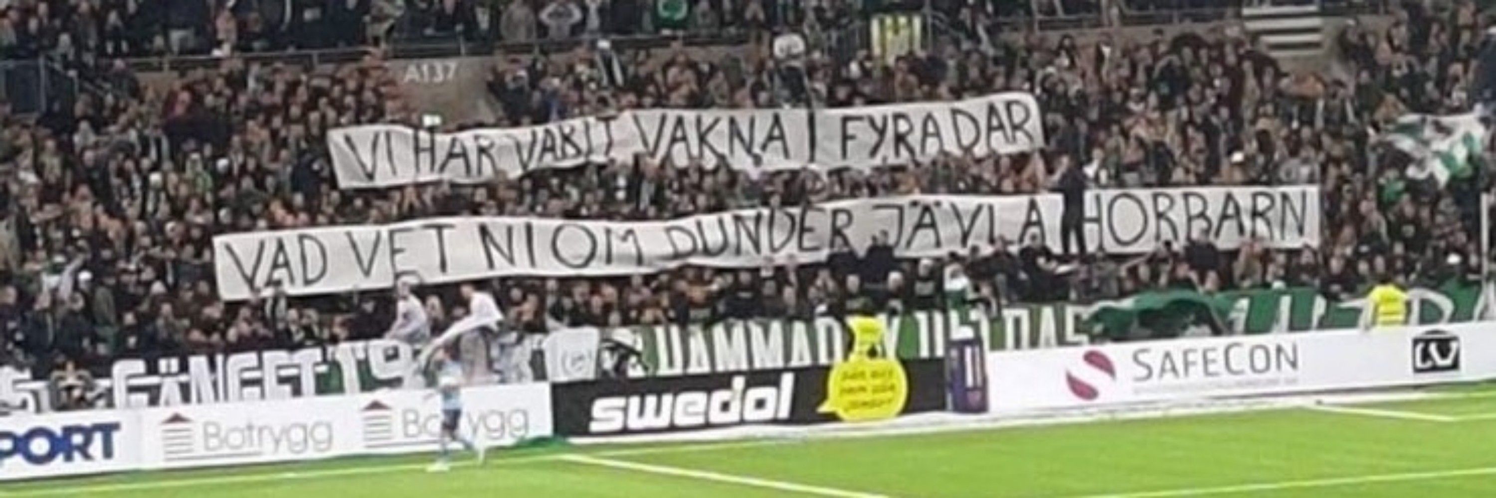 svinet på andra sidan