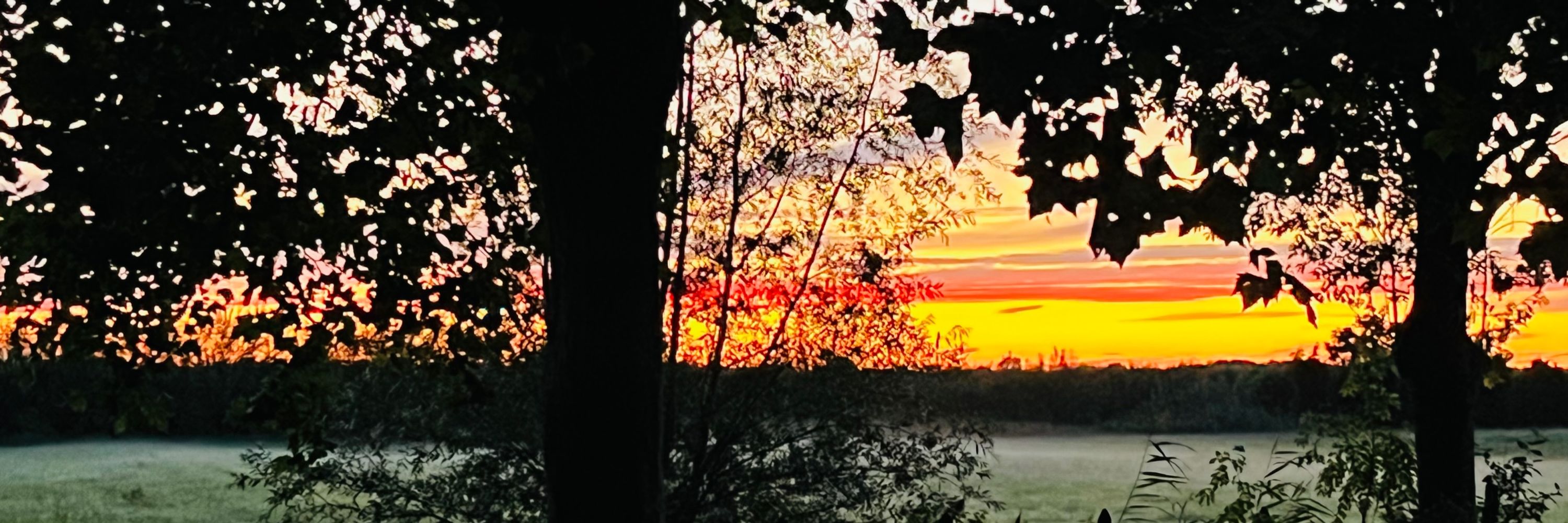 Astrud Wildschut