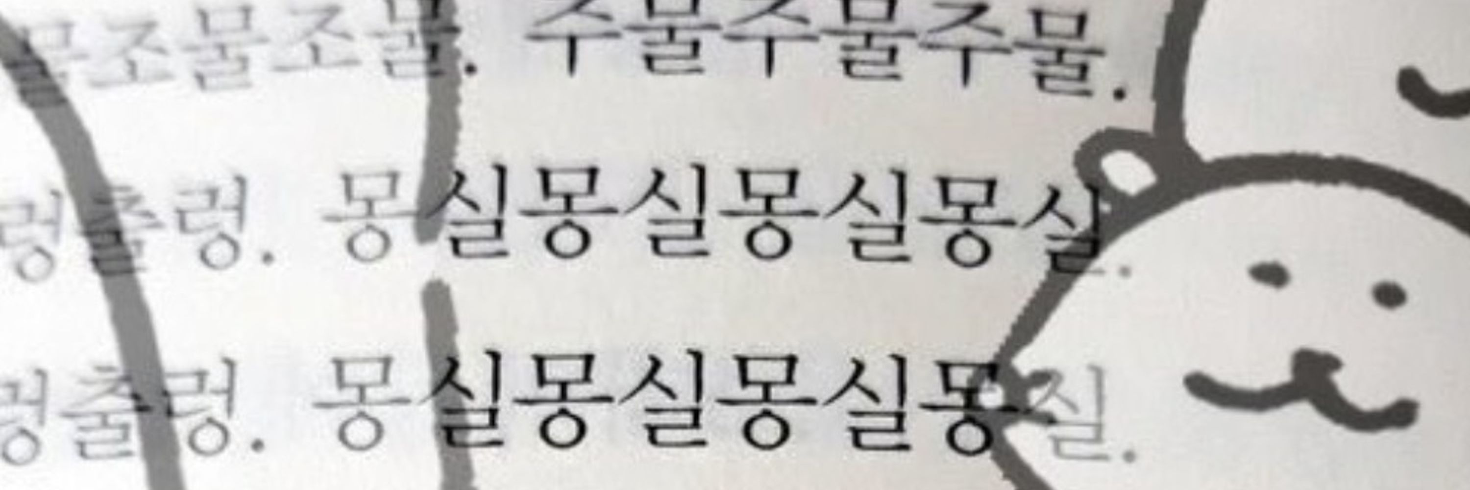 래빗 마이어🎗