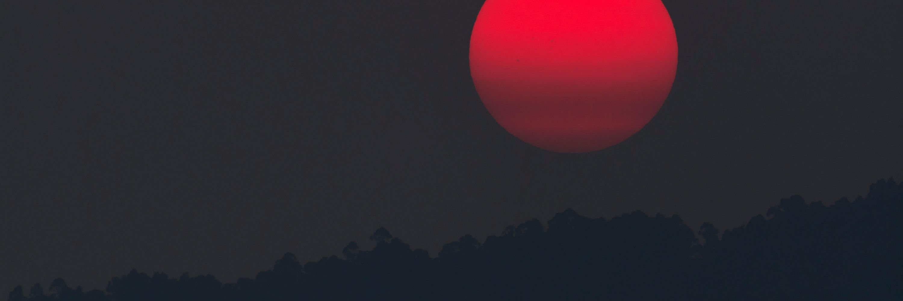 「 𝐒𝐇𝐈𝐍𝐉𝐈 」