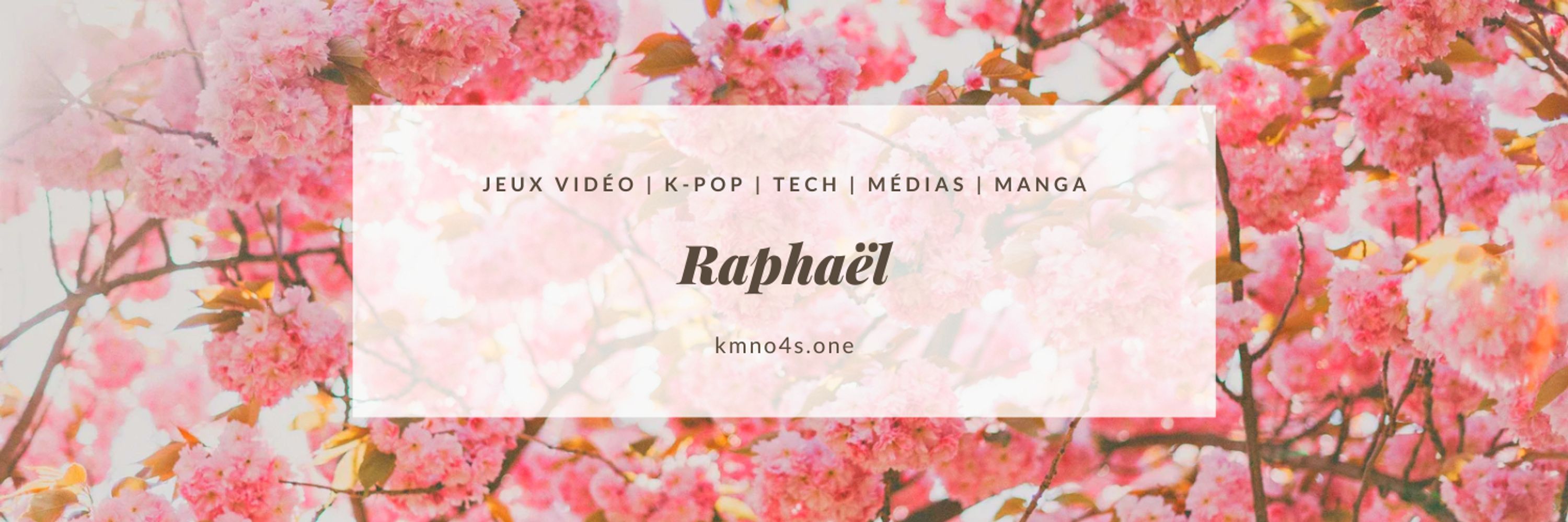 Raphaël 🏳️‍🌈🌸