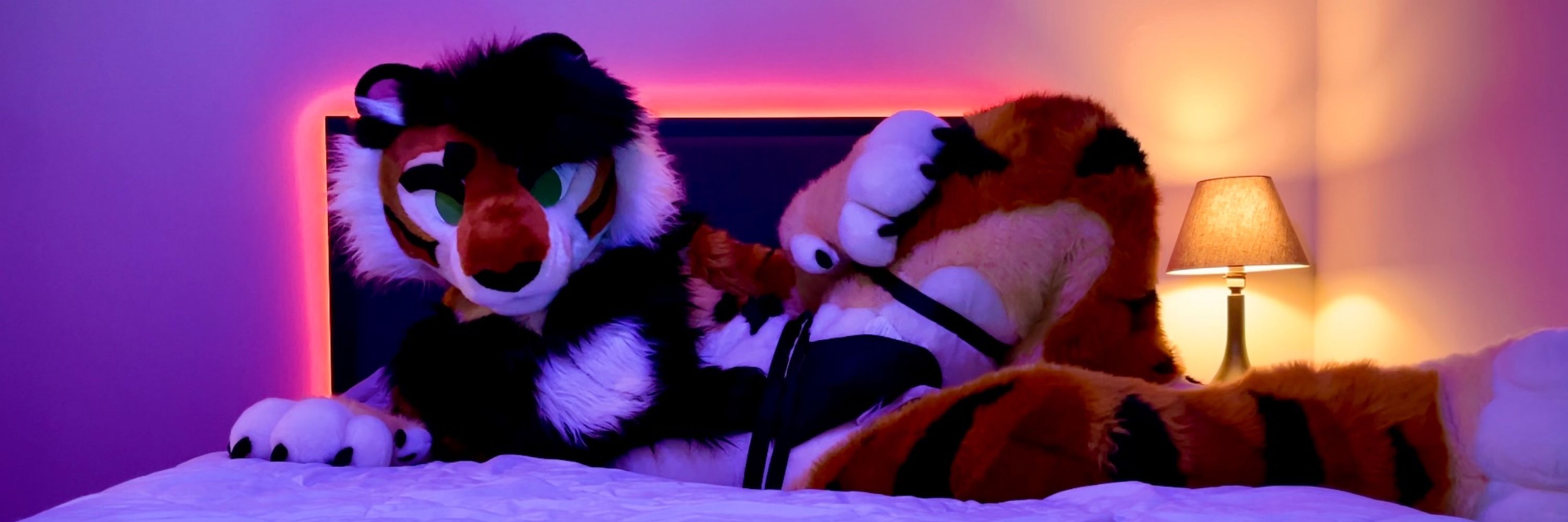 Tiger Puppy 🔜 TFF