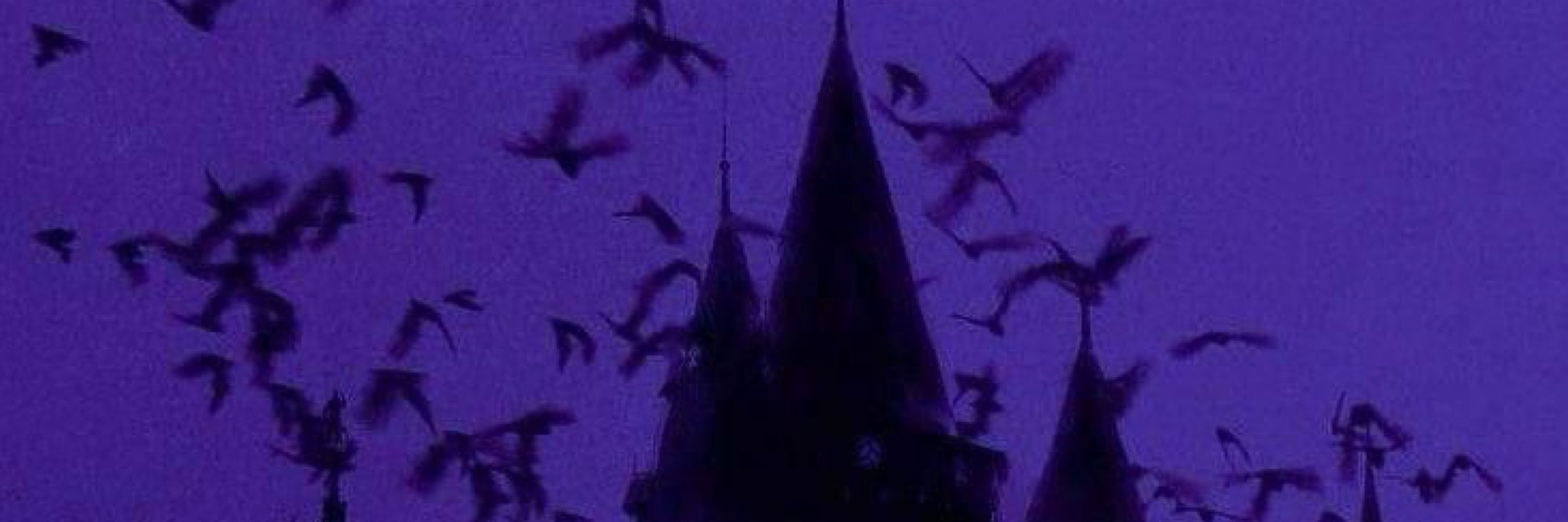 𝓚𝓪𝔂𝓵𝓮𝓮 🦇🦢