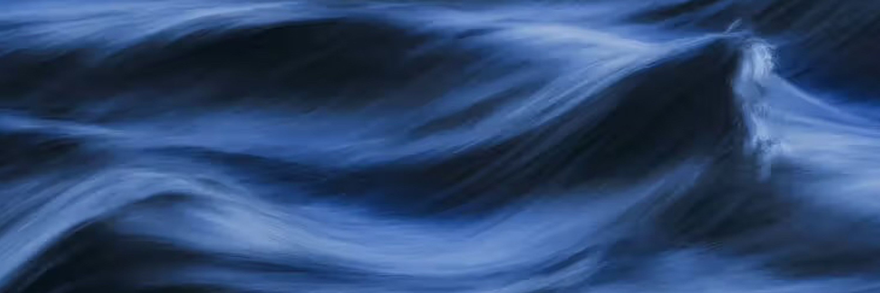 verybluerodent