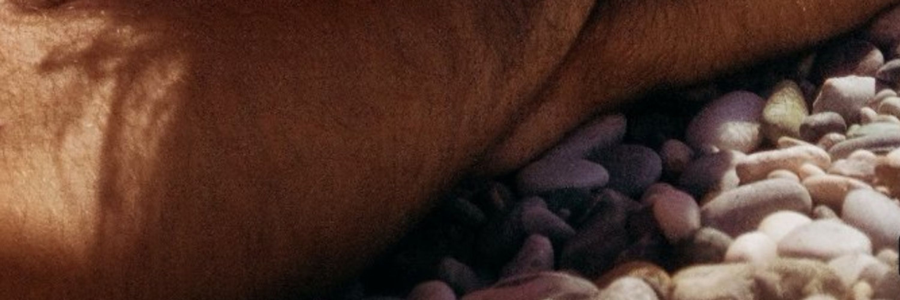 ╚» 🍆 «╝ Ł𝐞x Ｂα𝐧𝓰 ╚» 💦 «╝