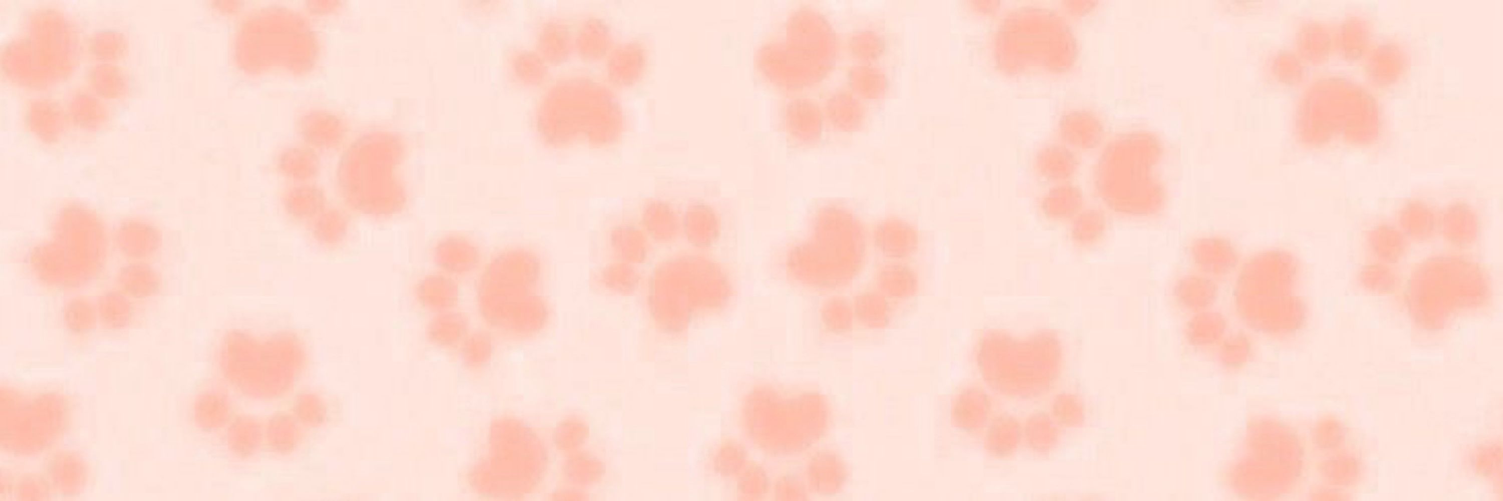 ⋆˚࿔ 𝙵𝚊𝚕𝚒𝚗  🦴🐾˖°