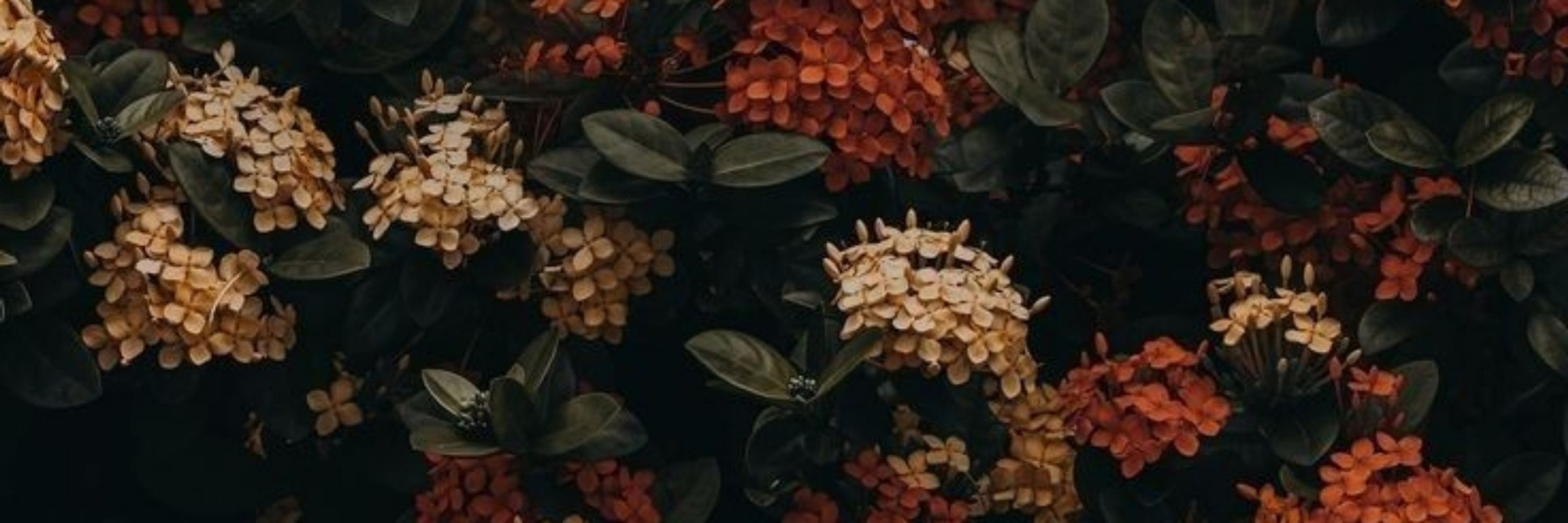 Marry/Мэрри/멜리