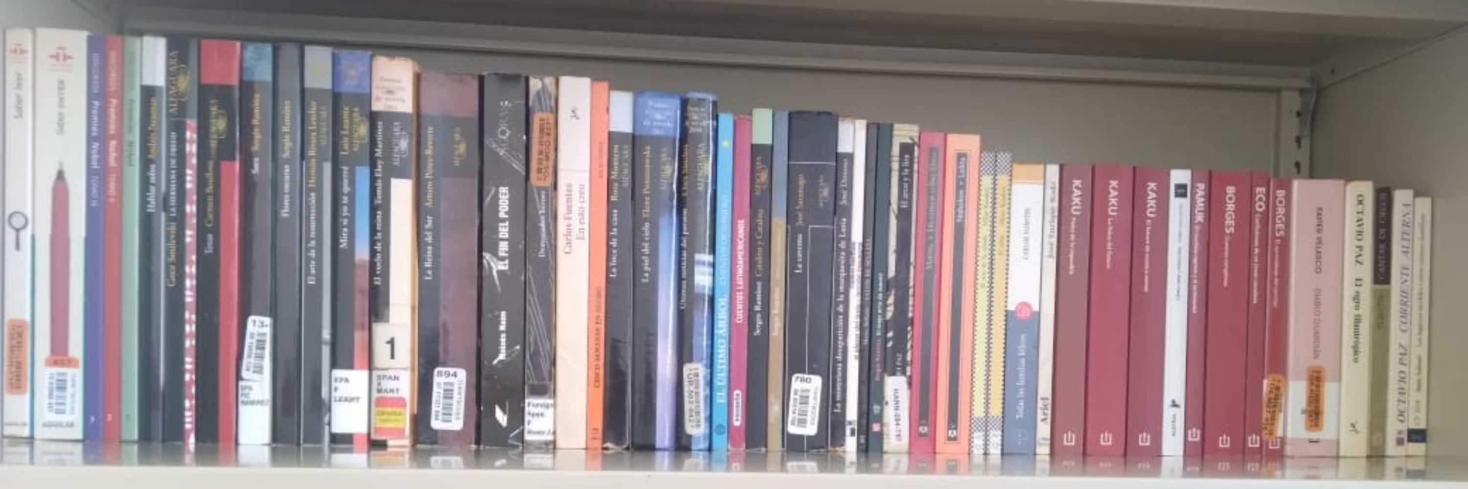 Todo Está en los Libros