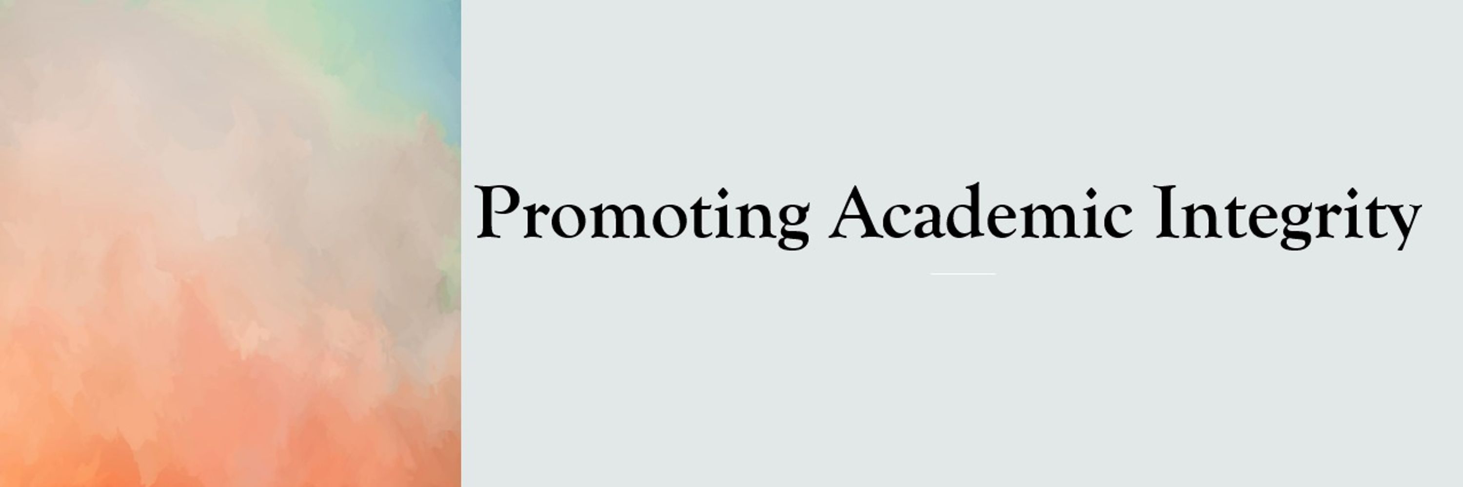 Academic Integrity Advocates