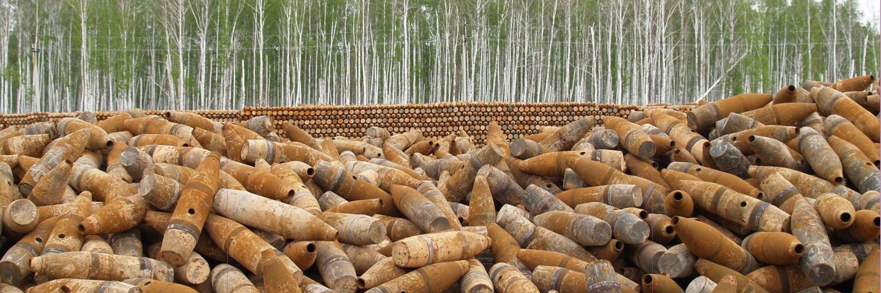 Global Partnership | Weapons of Mass Destruction