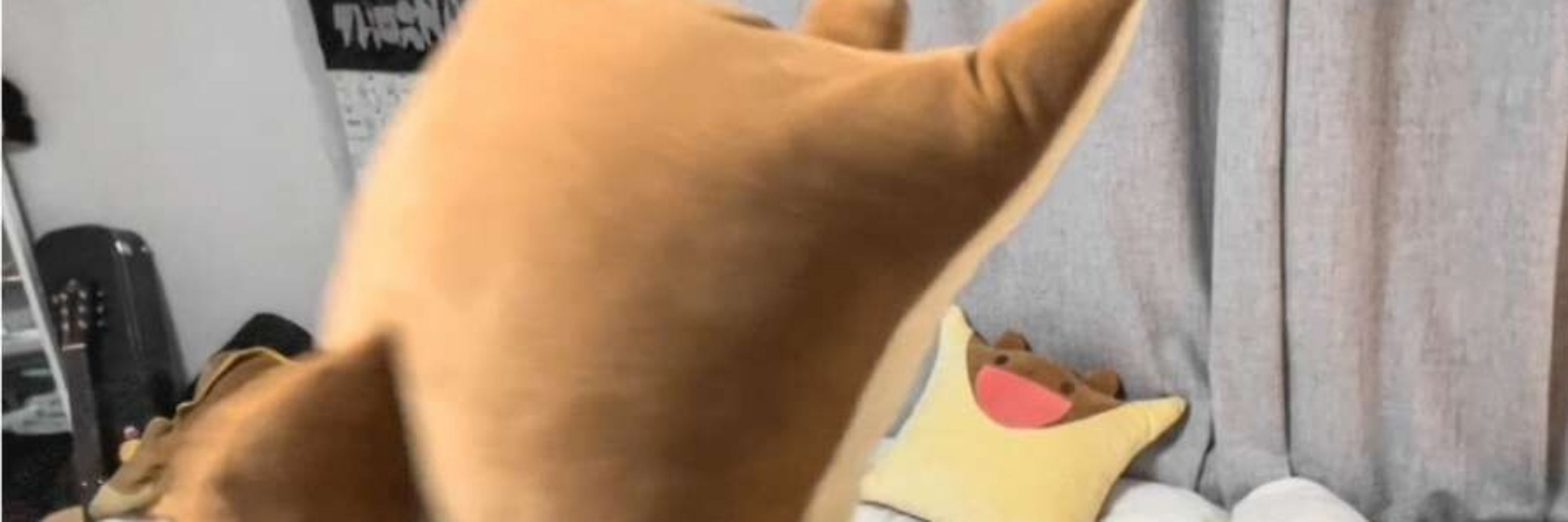 윤하르