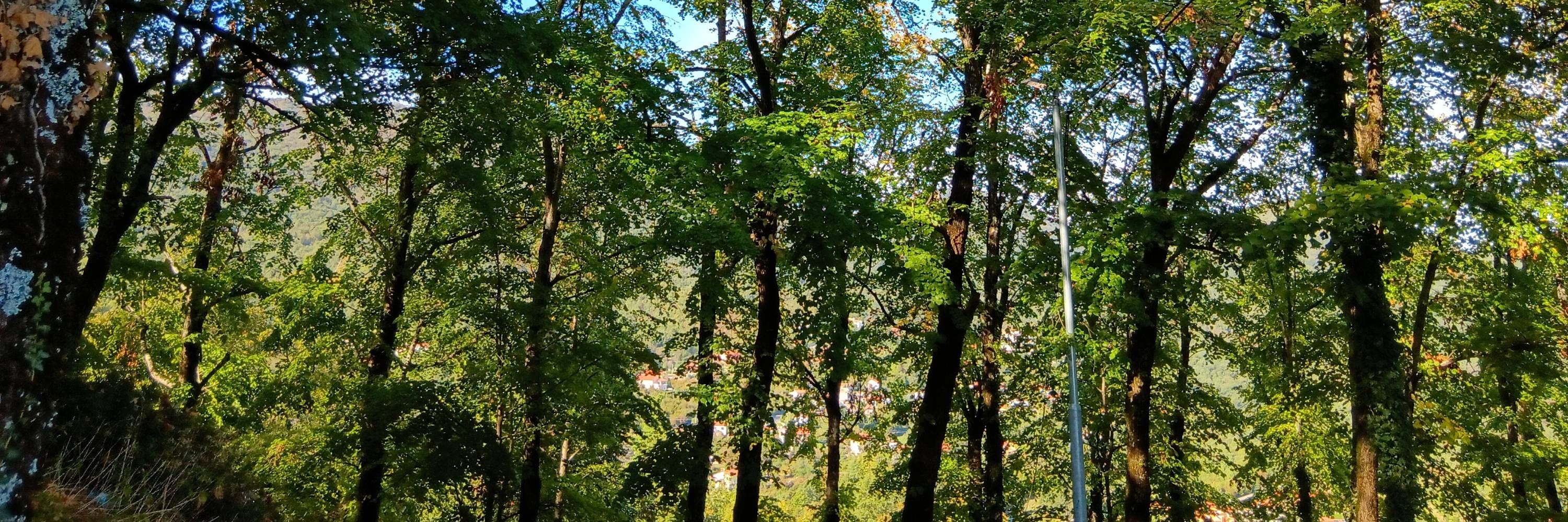 Gefühlsgier 