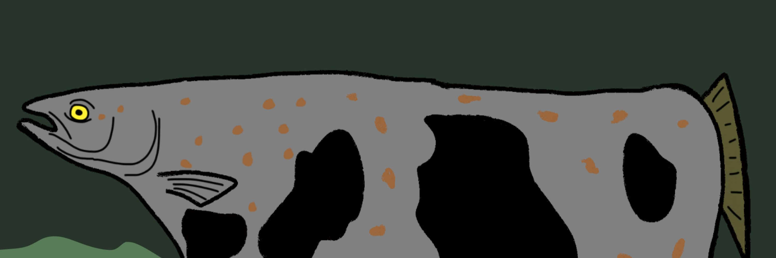 Namerucy Coggerome
