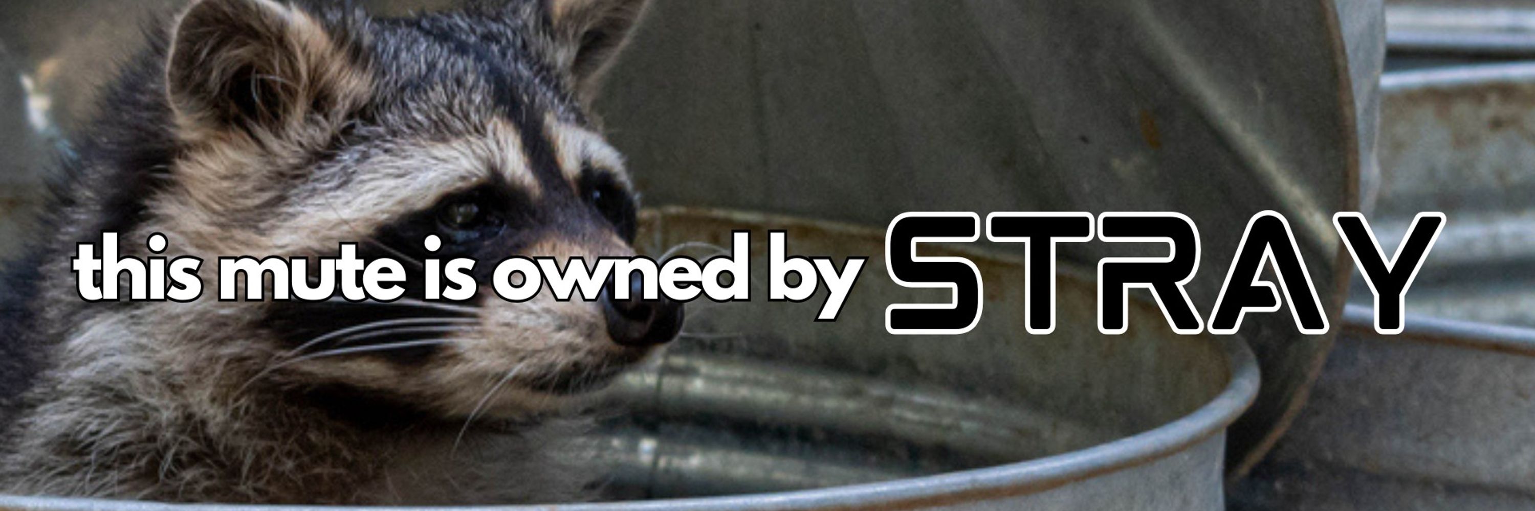 Stray