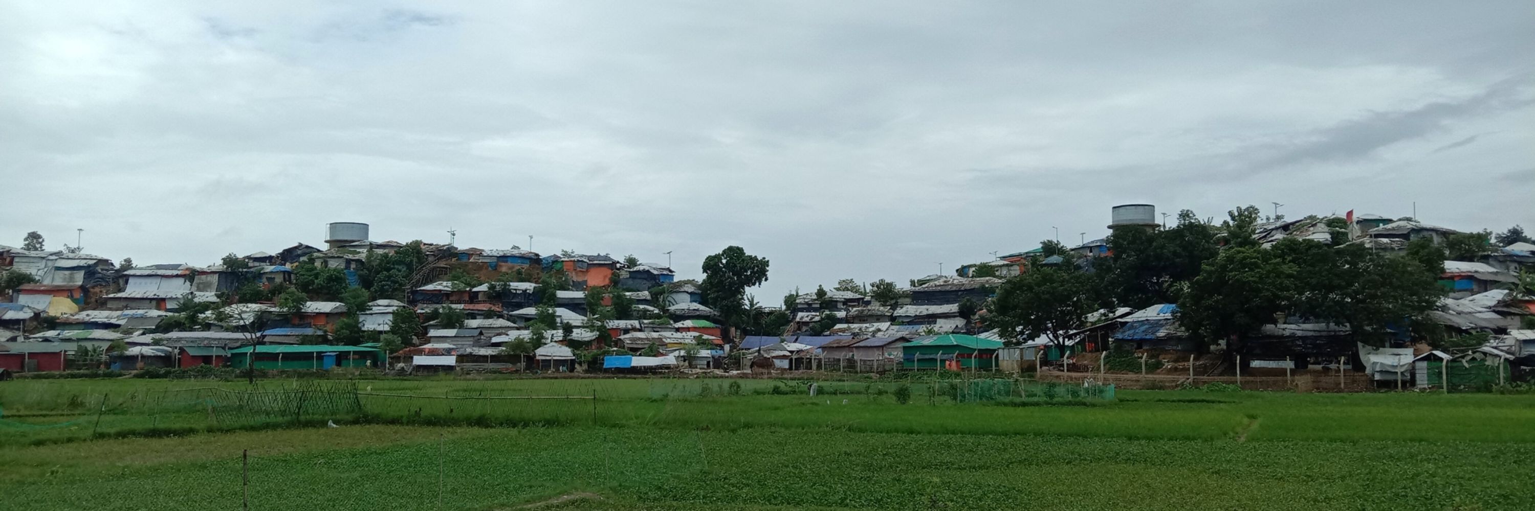 Ro Hla Bai