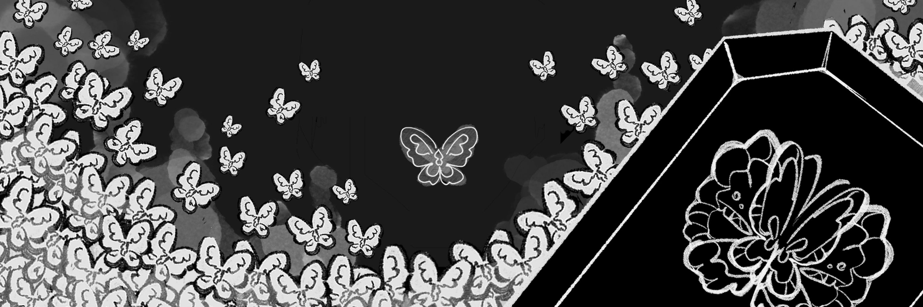 🦋 korrz 🦋