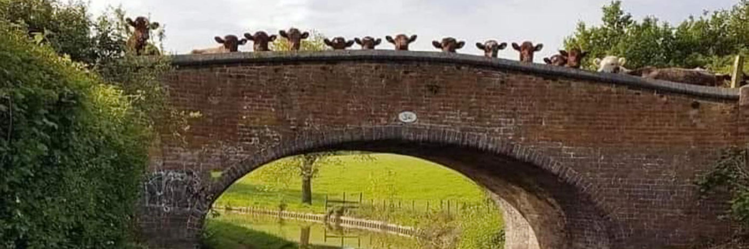 SMetharp