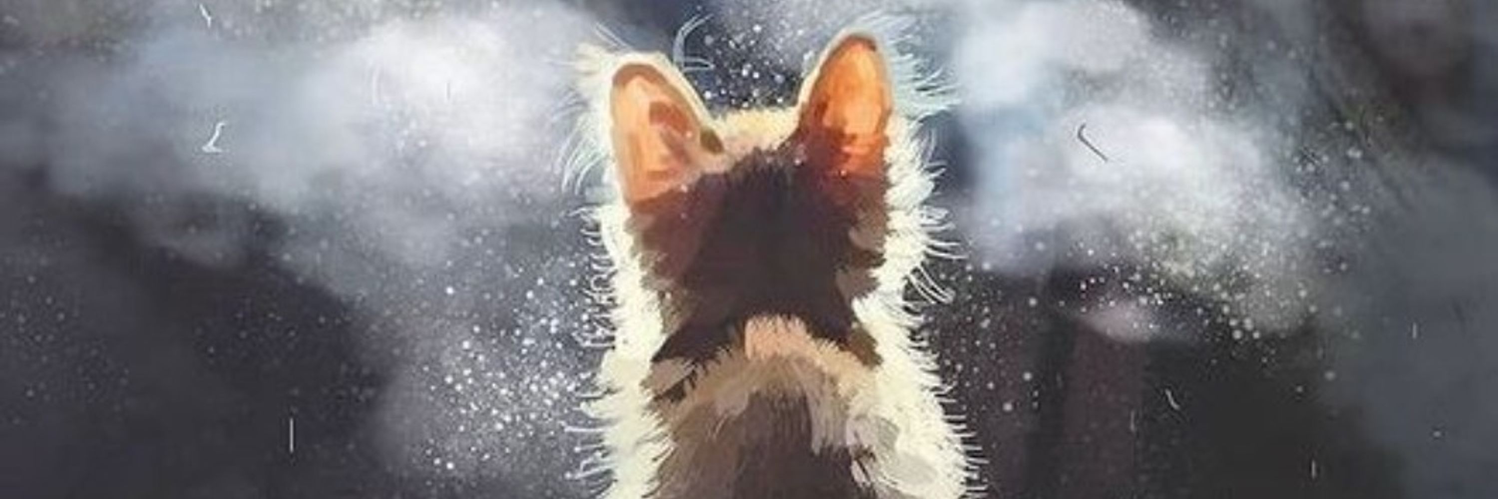 のりまさ