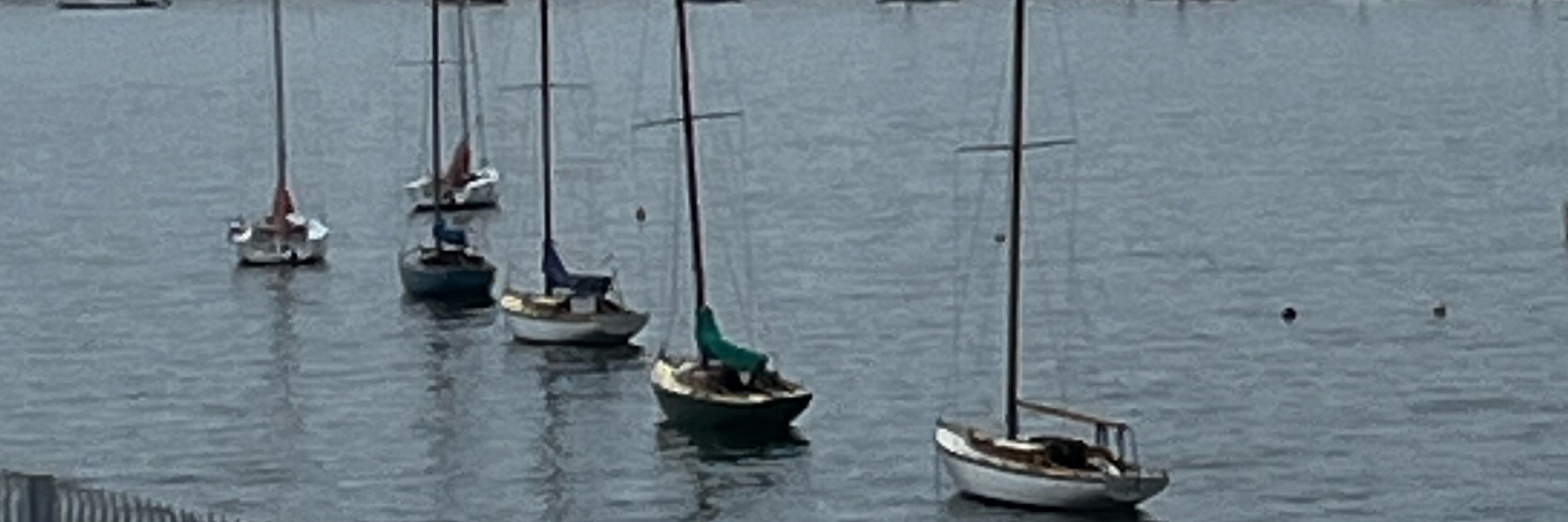 Seahag