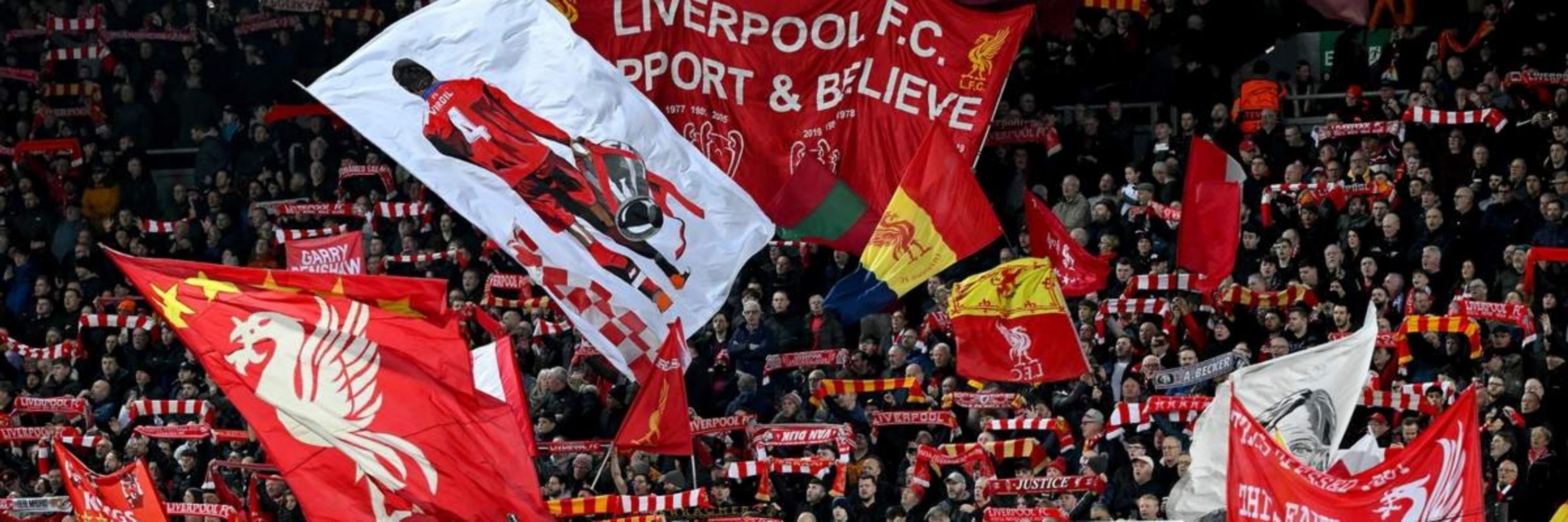 Damo the Scouser