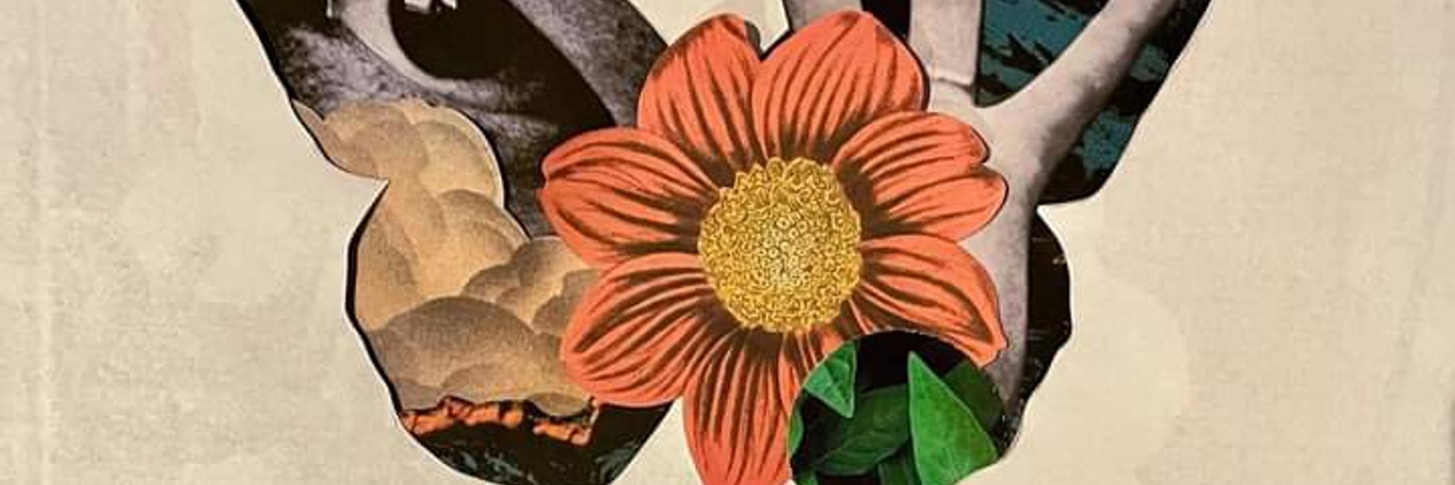 Lizzy Fenske 