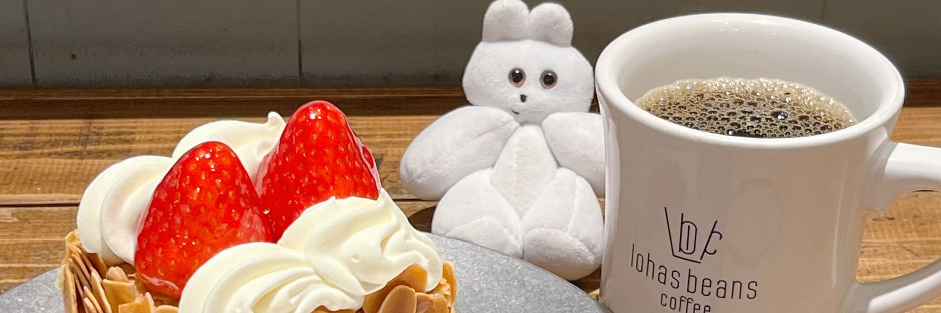 🧸ᴍɪᴄʜᴏᴄᴏ🍫