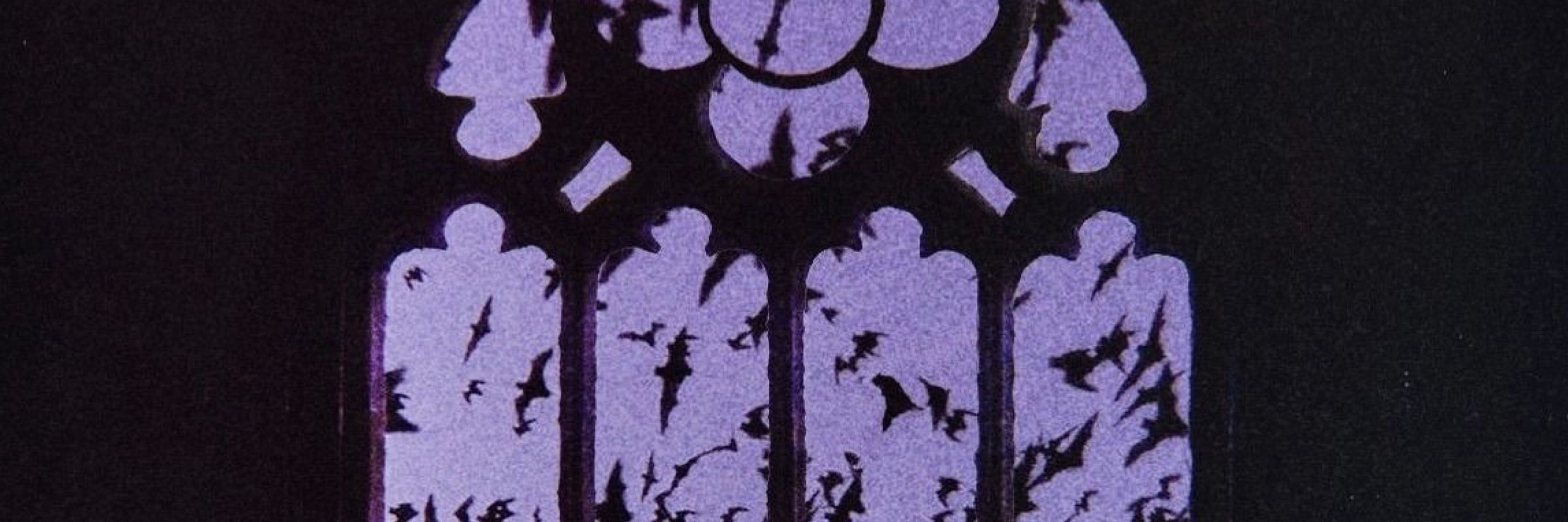 vampy