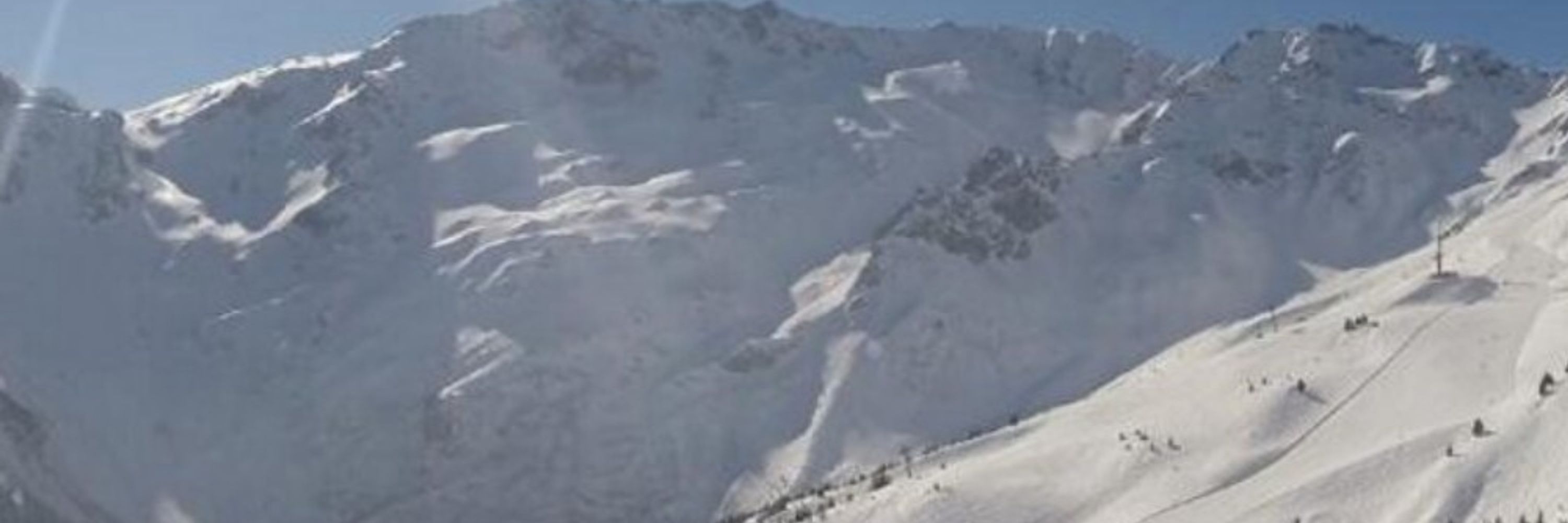 Poulet Alpin