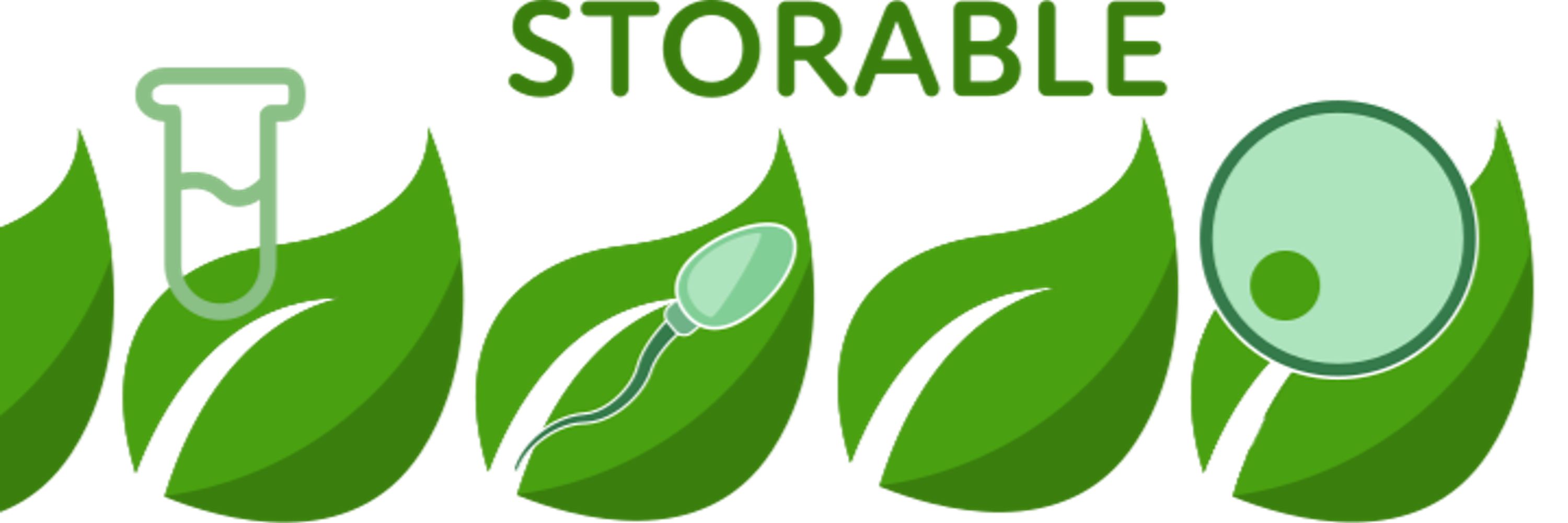 STORABLE NeoGiANT H2020