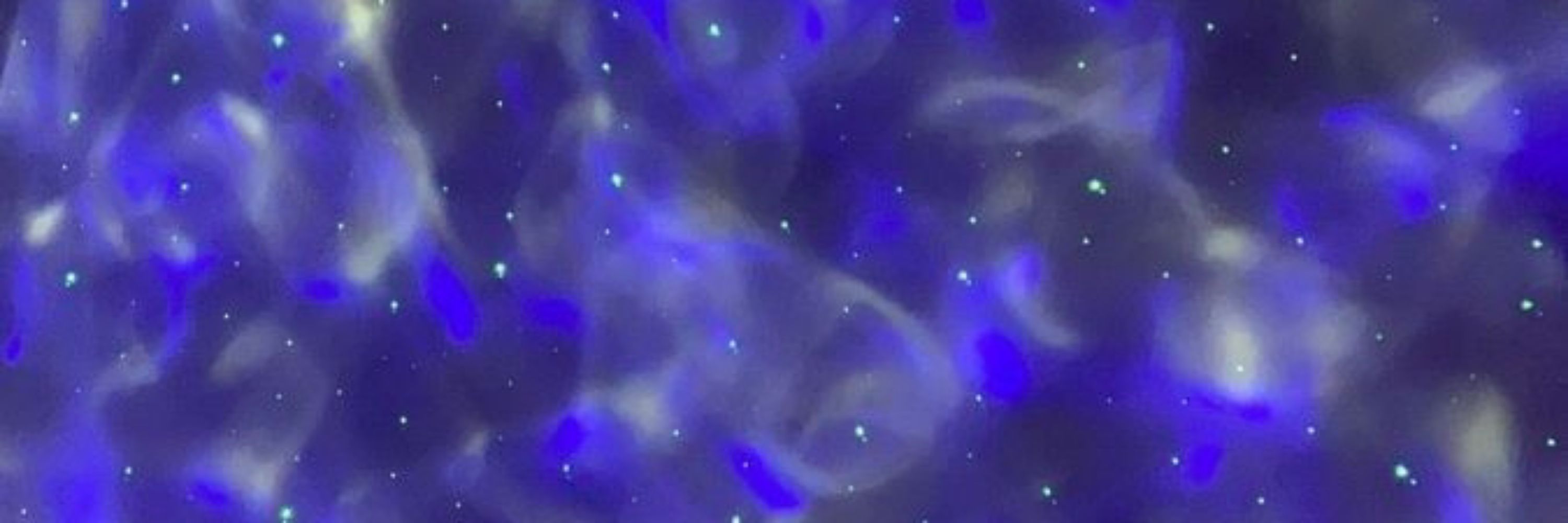 •☆𝐍𝐚𝐧𝐢𝐞⁷☆•