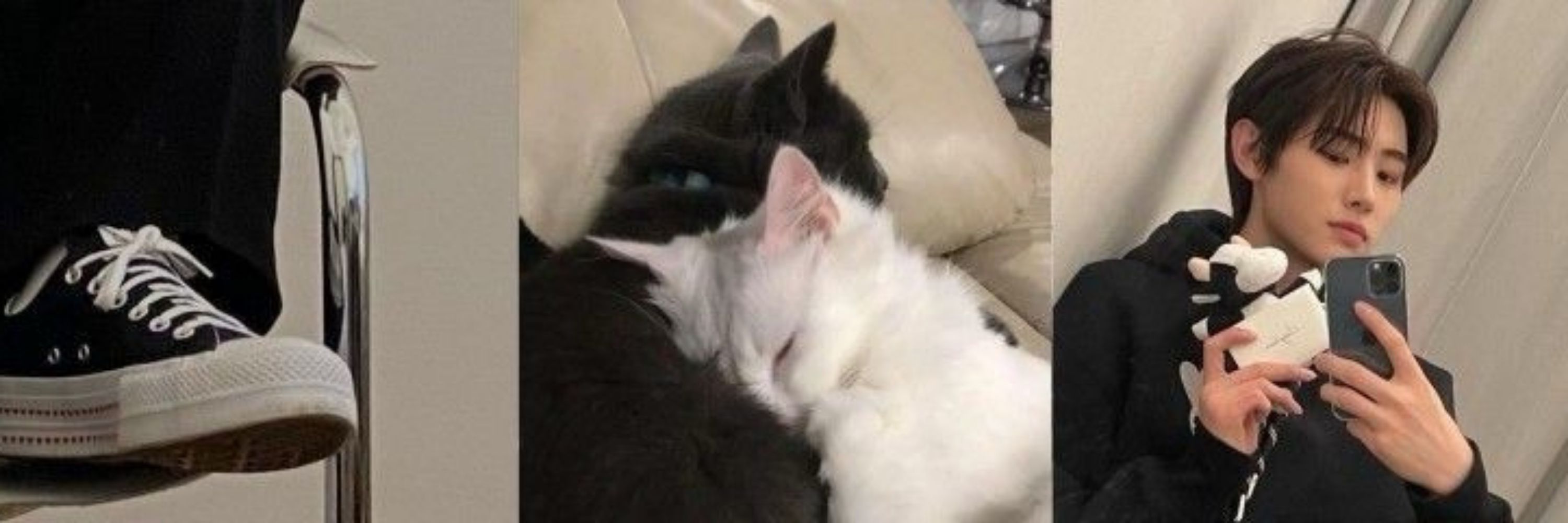 Arn 🖤