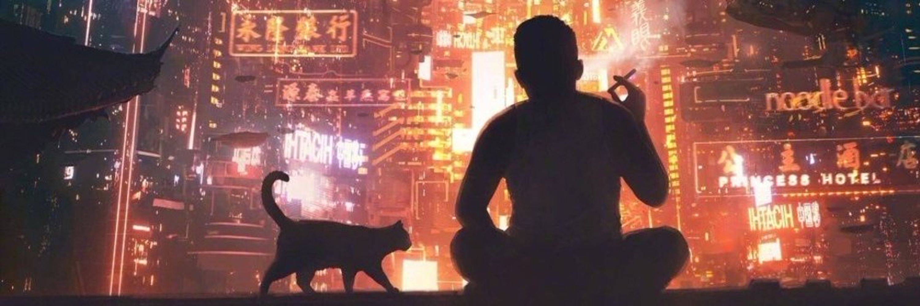 猫叔讲故事