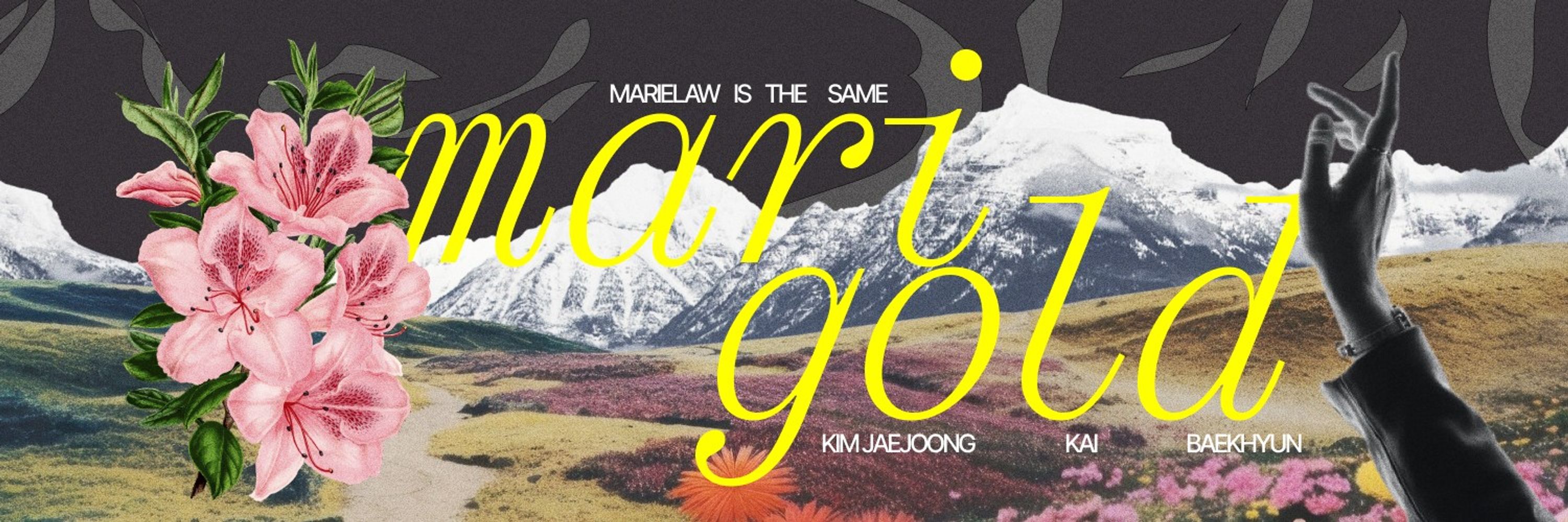 MarieLaw