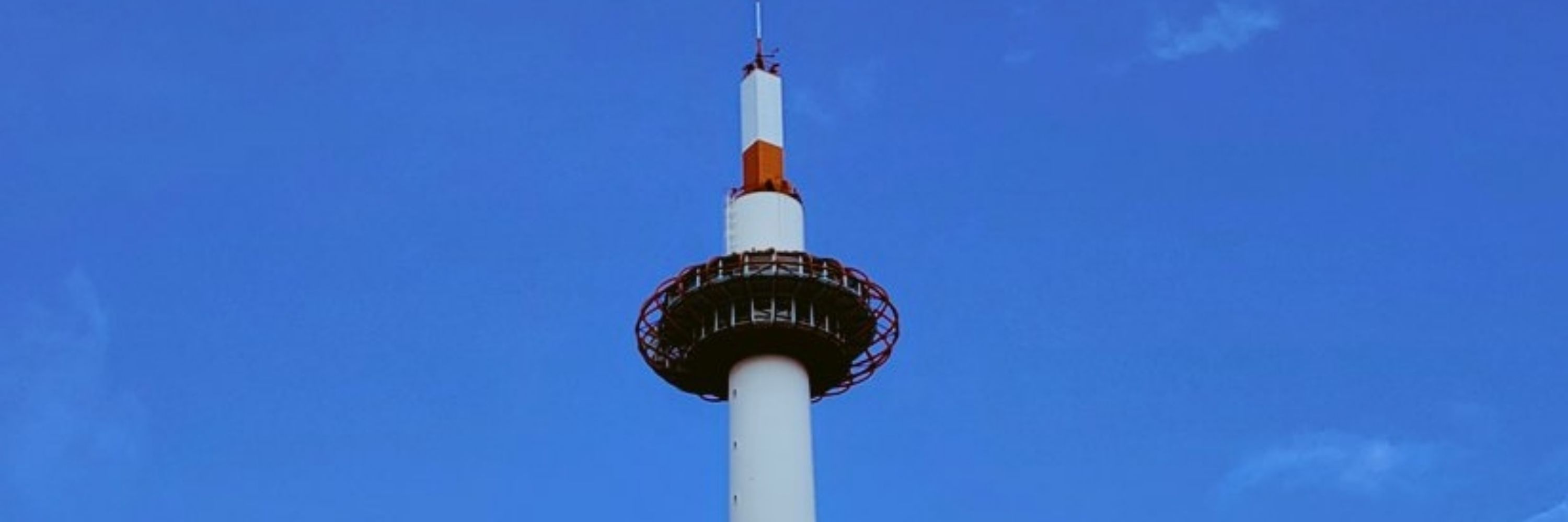 あゆみみみ