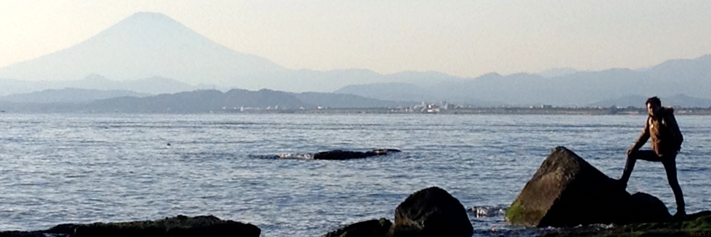 宮島岳史