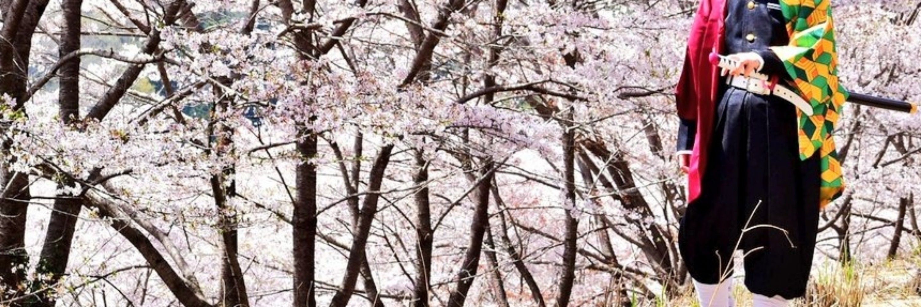 有桜依