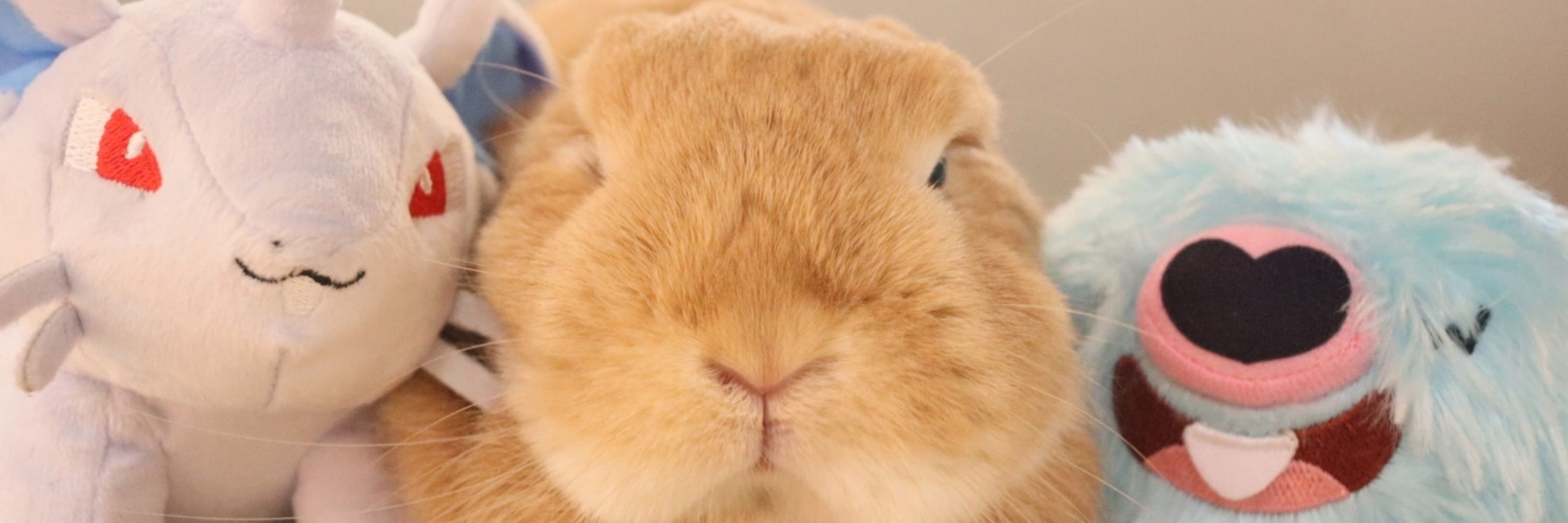 はまち