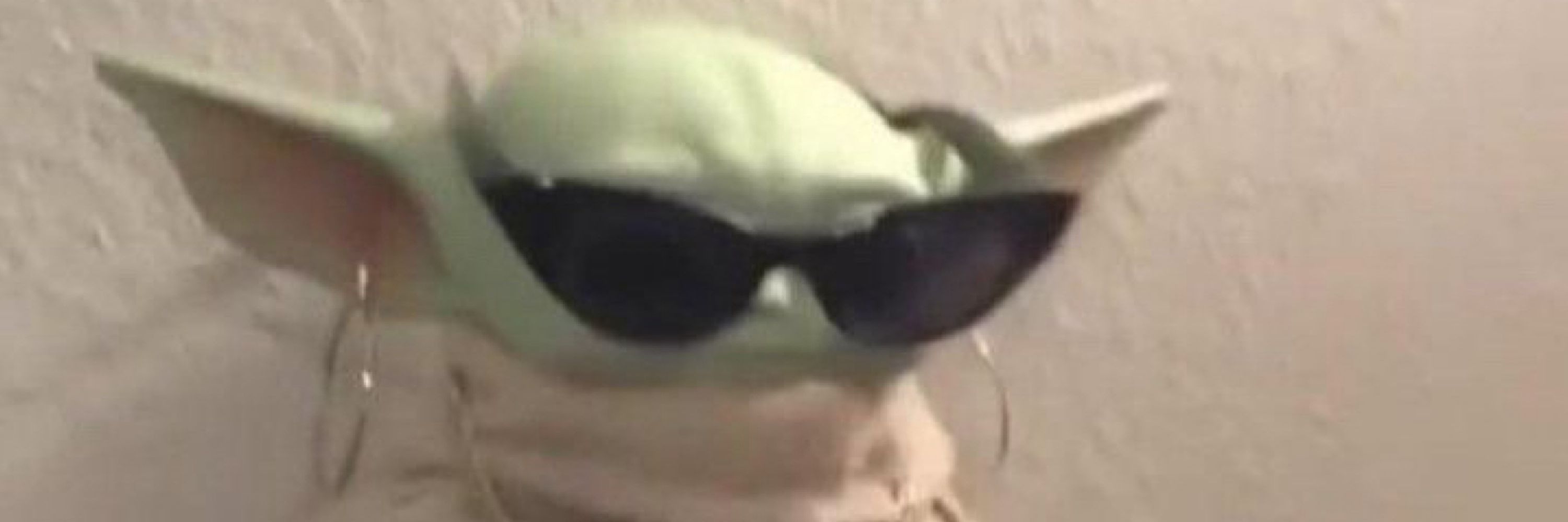 🦆 