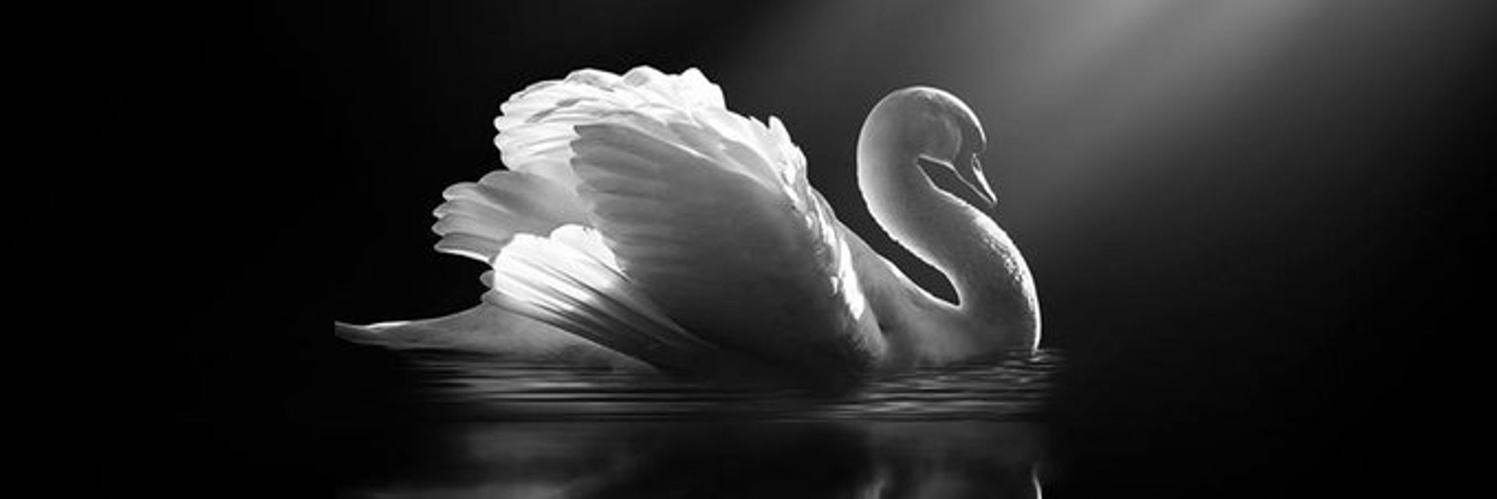 Brenda Dumfries