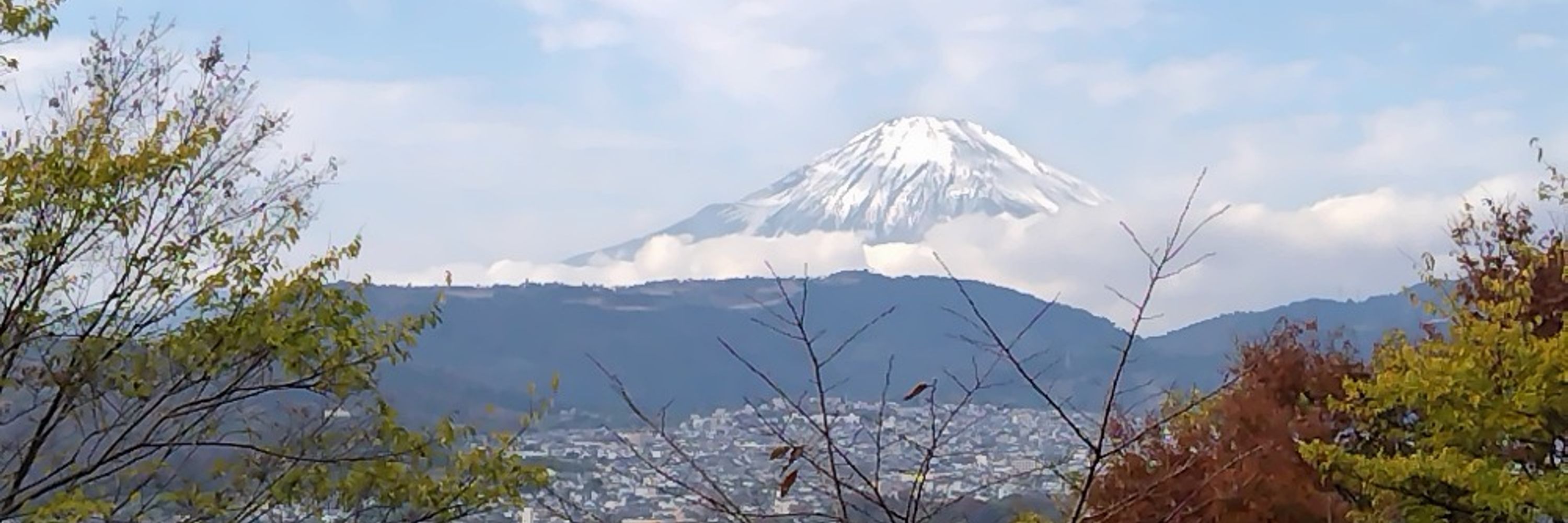 てつ