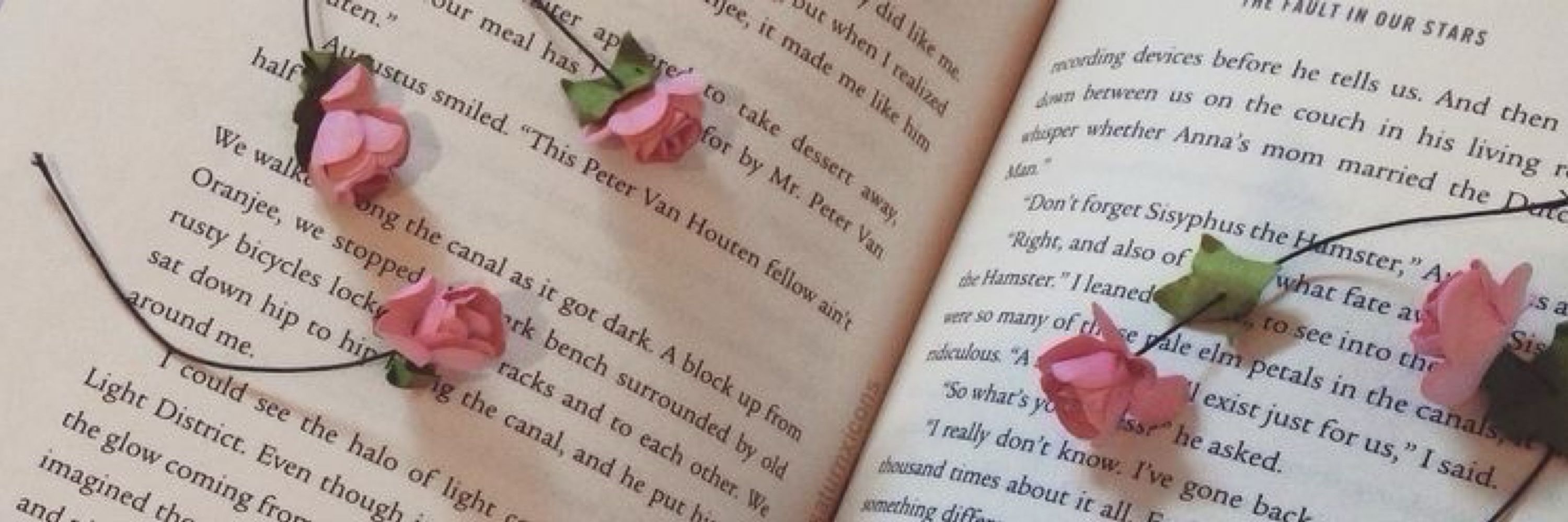 julia reads 