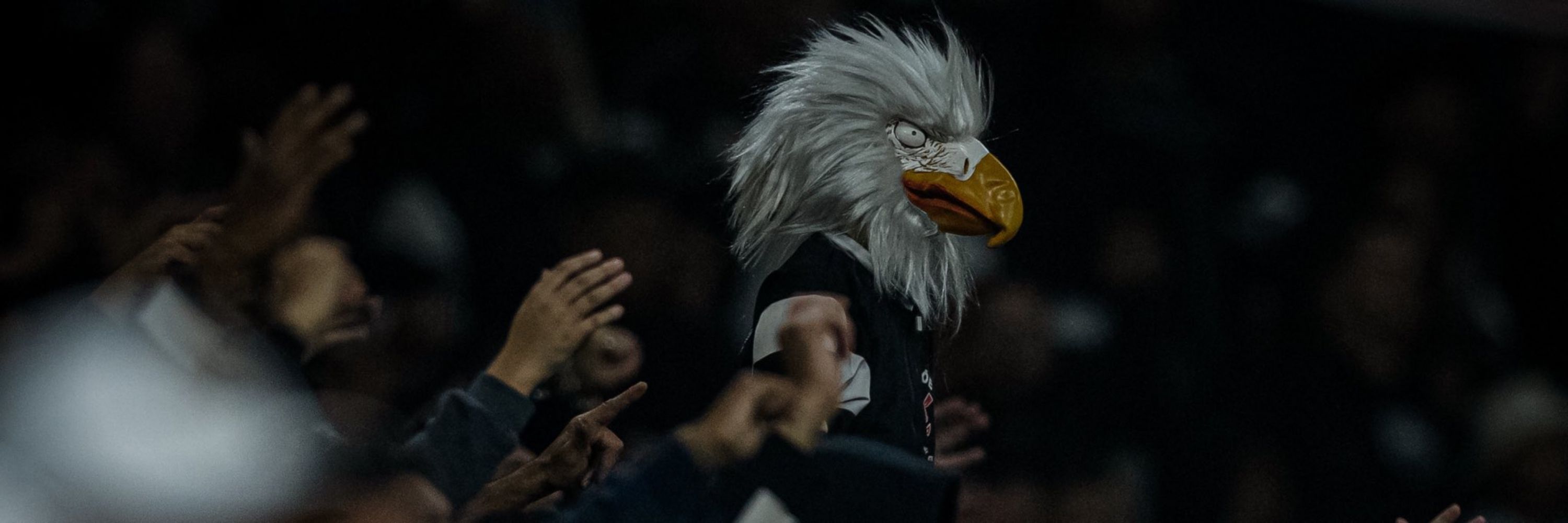 padL ˢᶜᶜᵖ 🦅