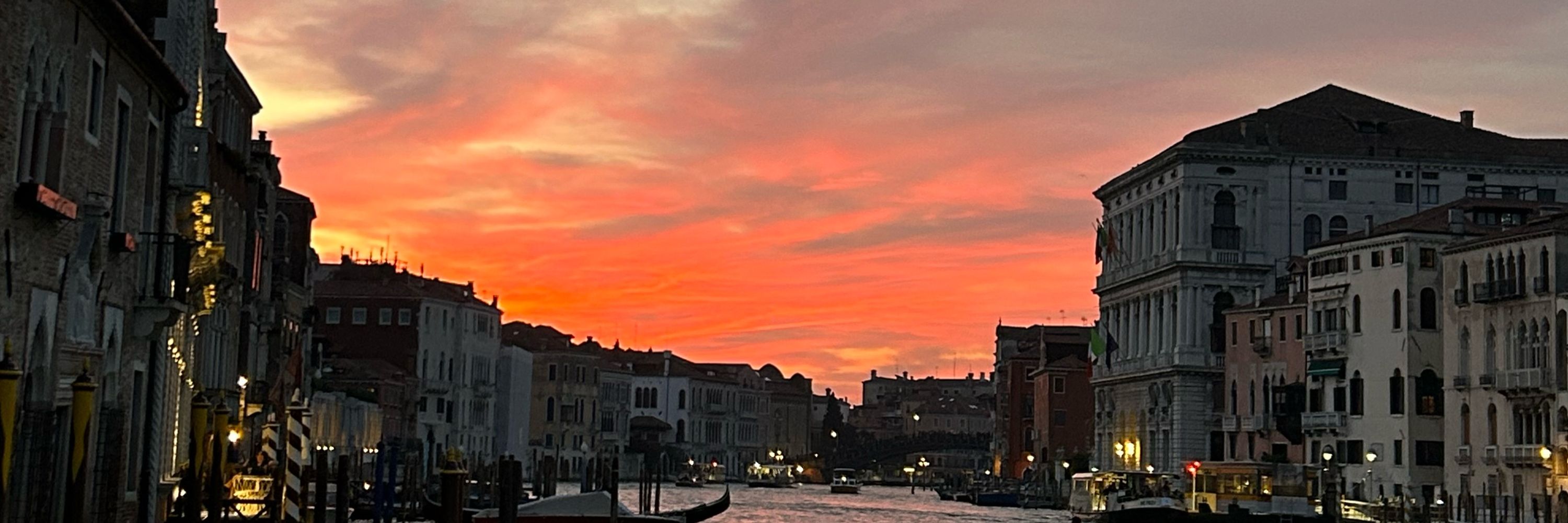 Perk, in search of sunnier days