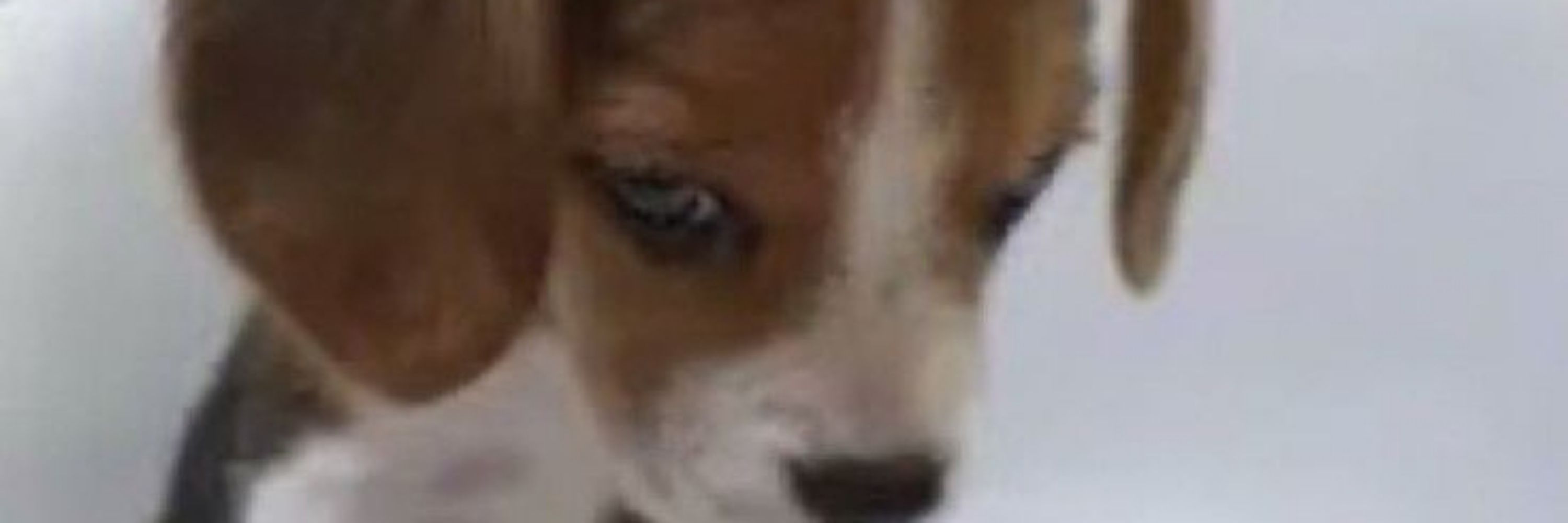 ㅤ