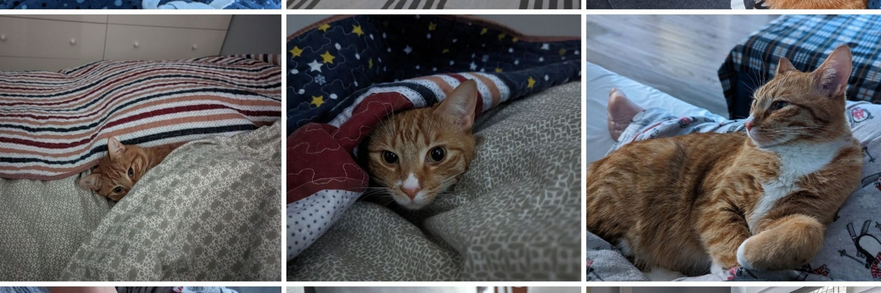 Butter photos