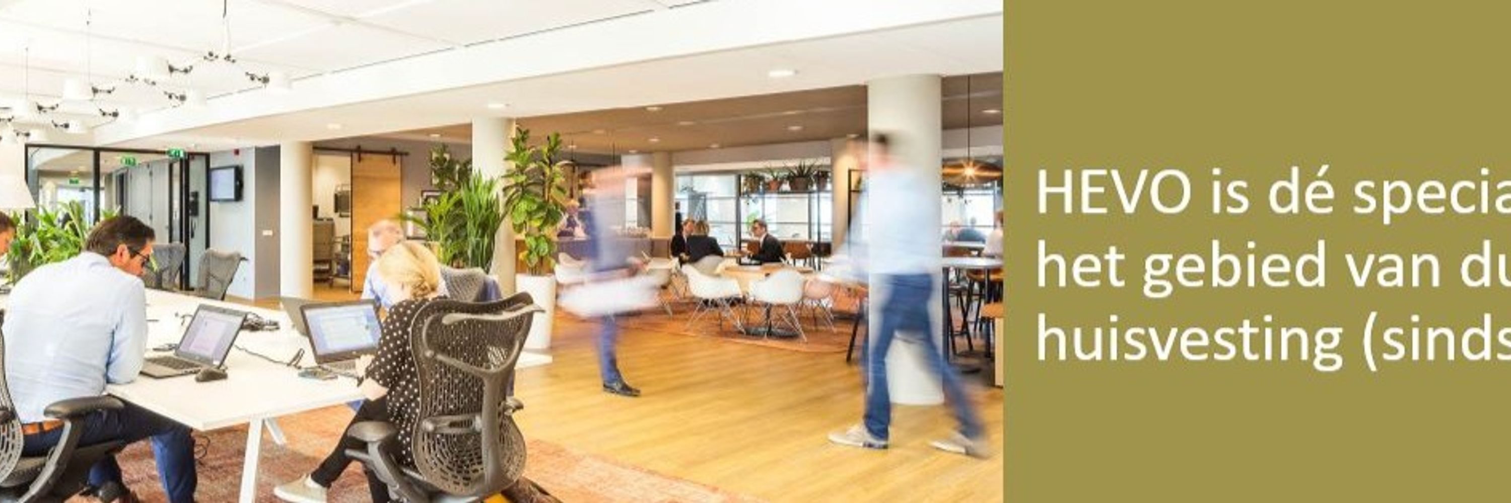 HEVO Experts in huisvesting en Vastgoed