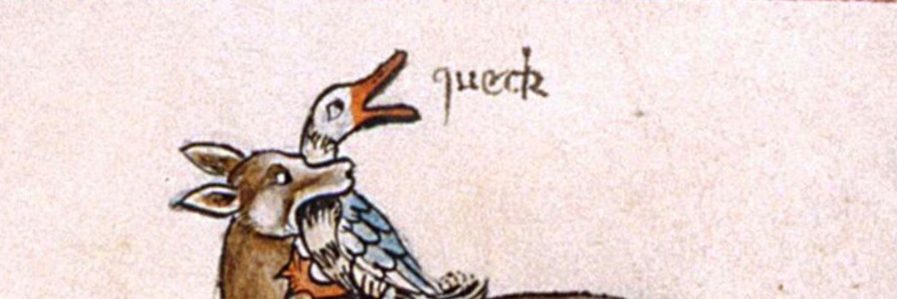 Bethany Bee, Foremost Andreth/Aegnor Apologist