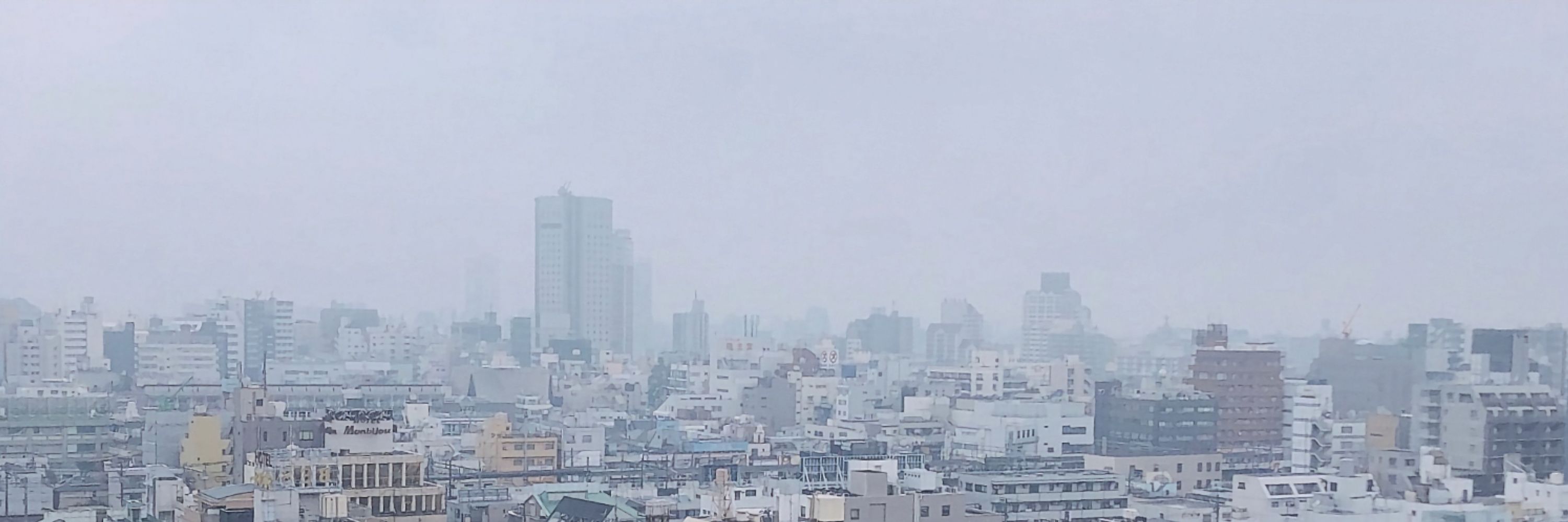 日雀