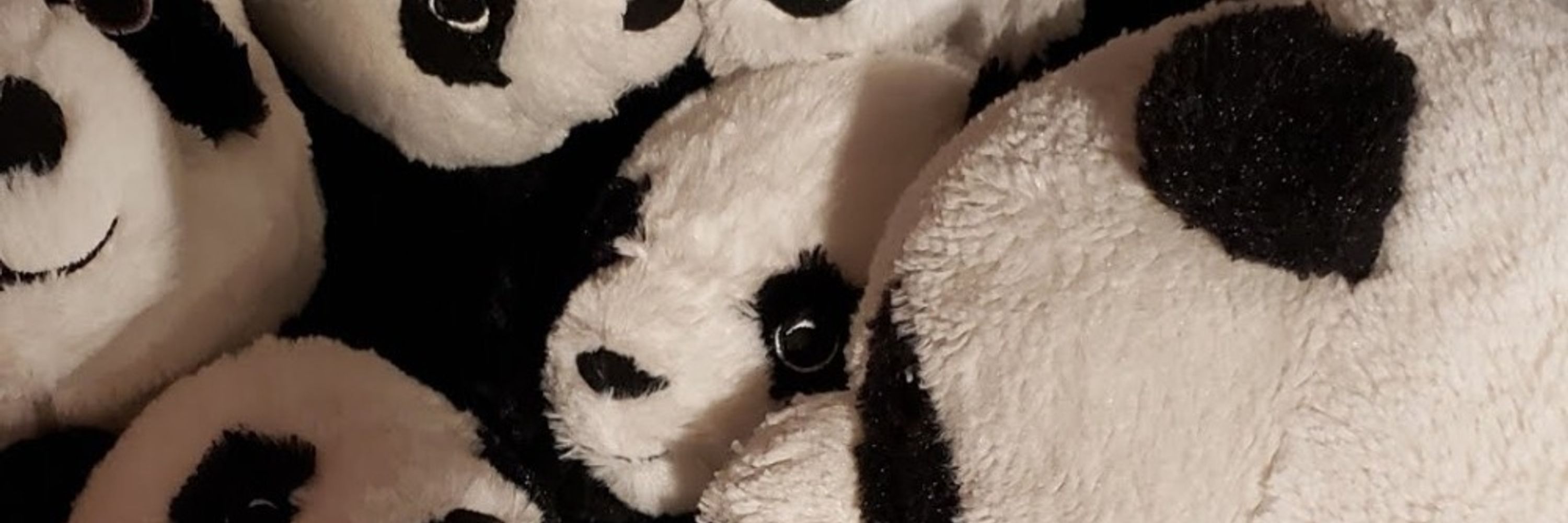 Sewing Panda