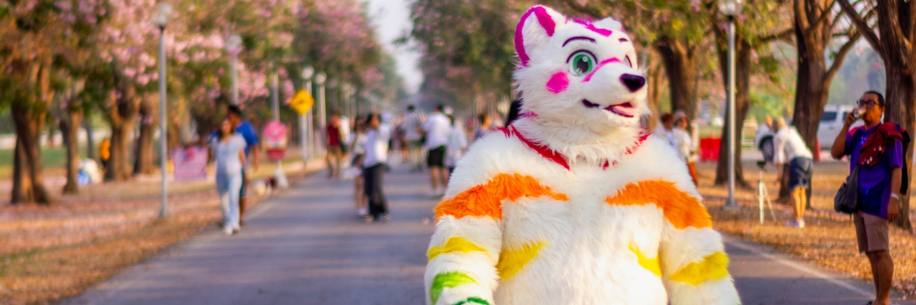 MungMingTiger ➡️ SiamPaws2025